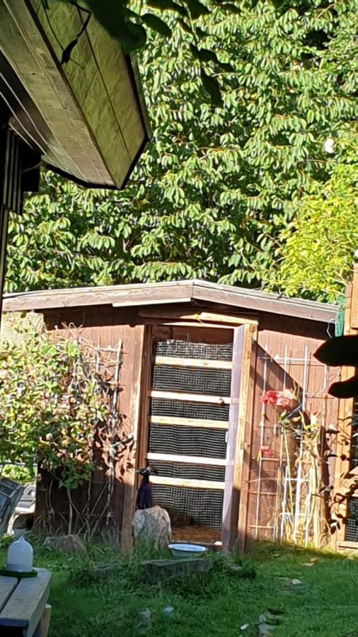 Ferienhaus Nr. 60 Im Ferienpark Am Twistesee Abádszalók ภายนอก รูปภาพ