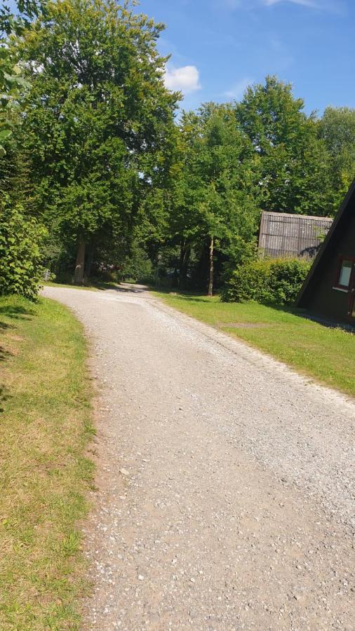 Ferienhaus Nr. 60 Im Ferienpark Am Twistesee Abádszalók ภายนอก รูปภาพ